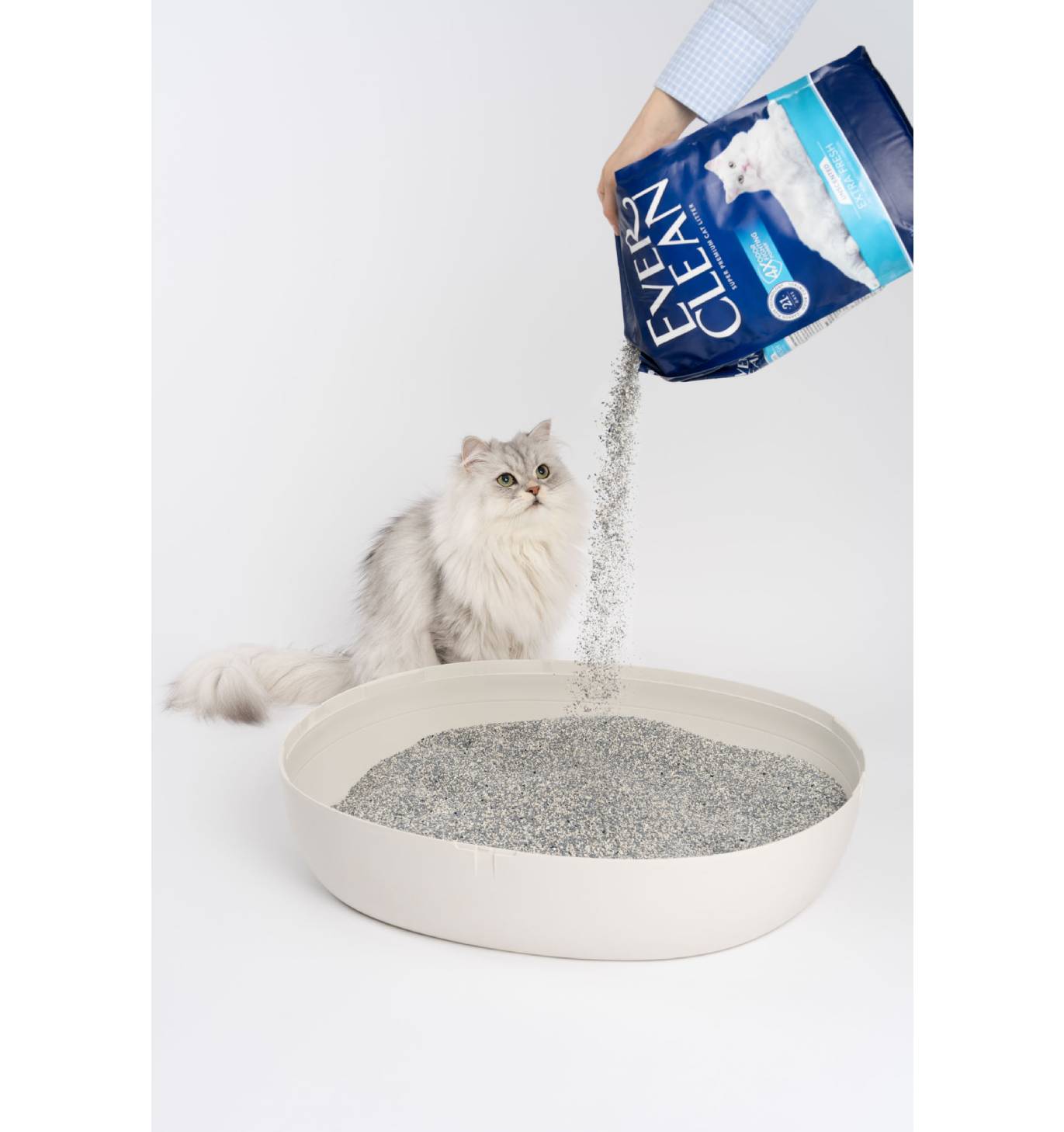 エバークリーン・多頭飼い用猫砂<br>（芳香タイプ）4.2kg