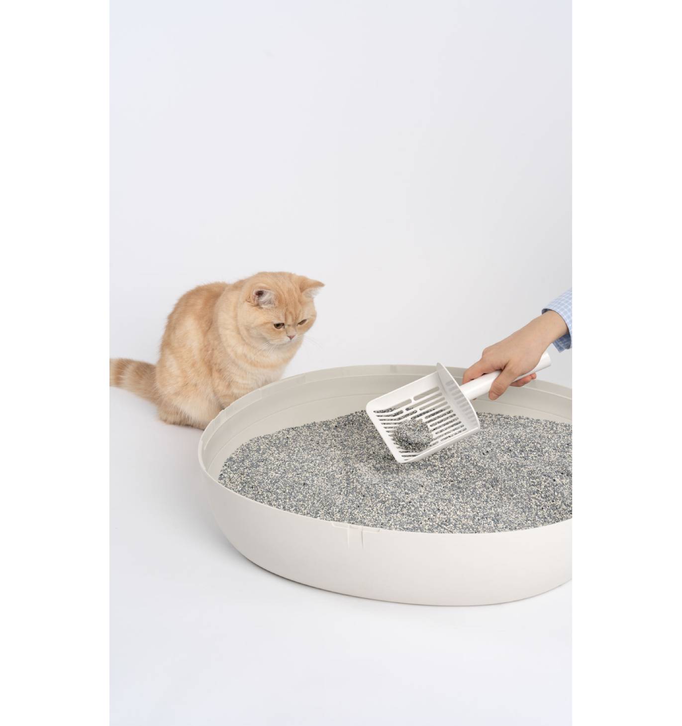 エバークリーン・飛び散りにくい猫砂<br>（芳香タイプ）4.2kg